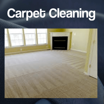 carpet cleaning springfield ma